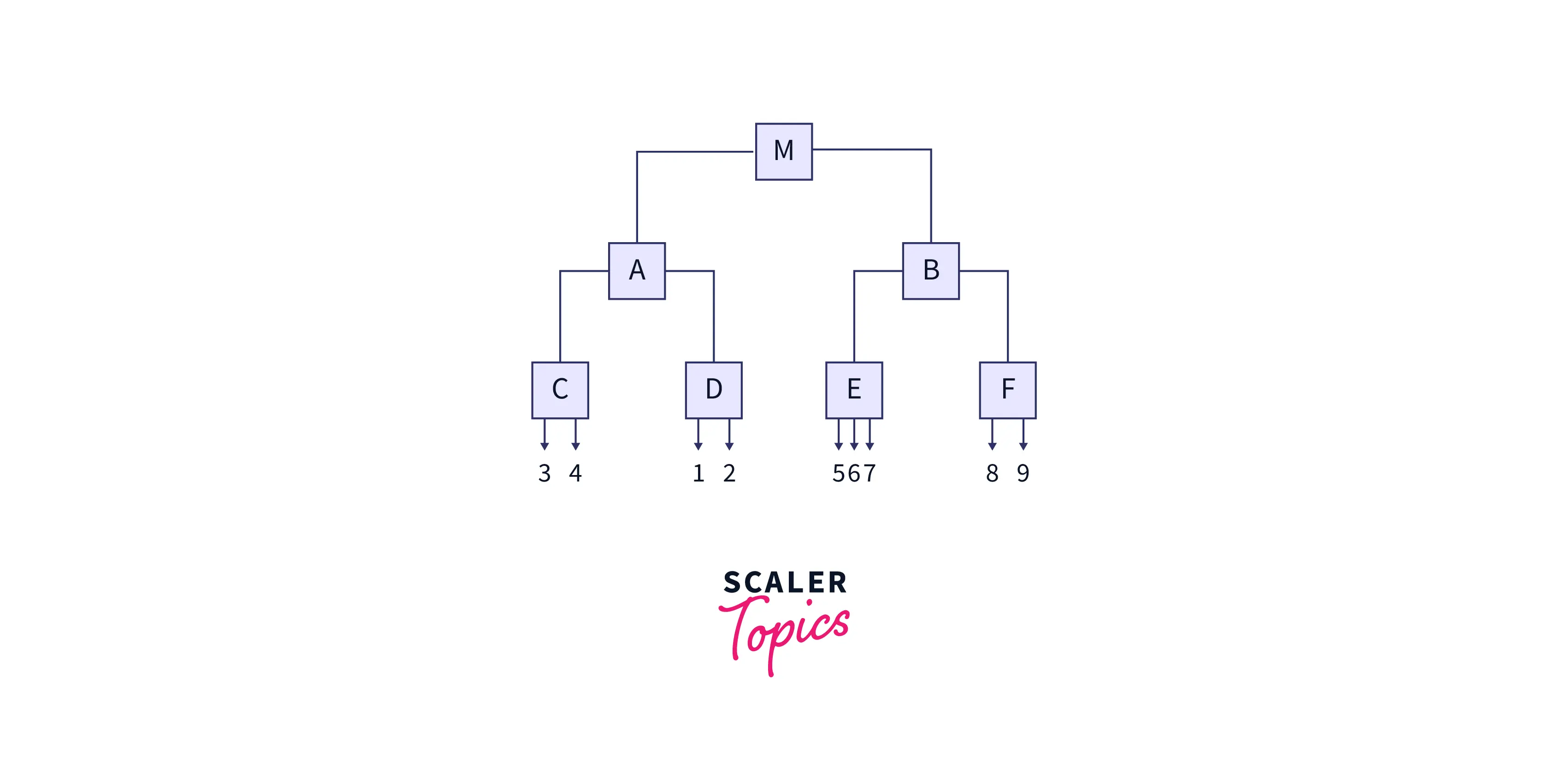 ball-tree-2